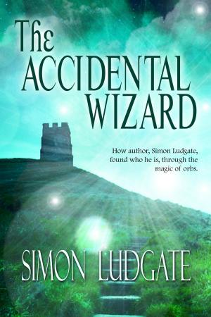 Cover of the book The Accidental Wizard by Grace Andren