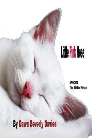 Cover of the book Little Pink Nose by Dawn B Davies