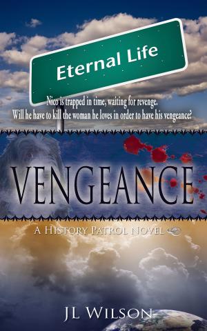 Cover of the book Vengeance by Danielle Monsch