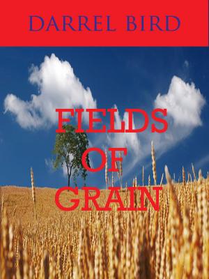 Cover of the book Fields Of Grain by Nathalie Guarneri