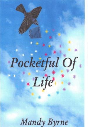 Cover of the book Pocketful of Life by 