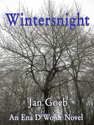 Cover of the book Wintersnight by Michelle Rowen