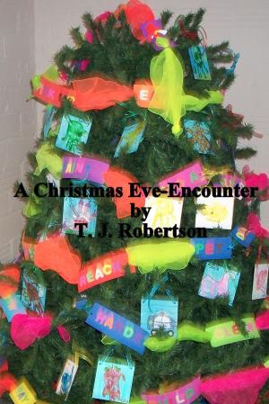 Book cover of A Christmas-Eve Encounter