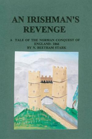 Cover of An Irishman’s Revenge