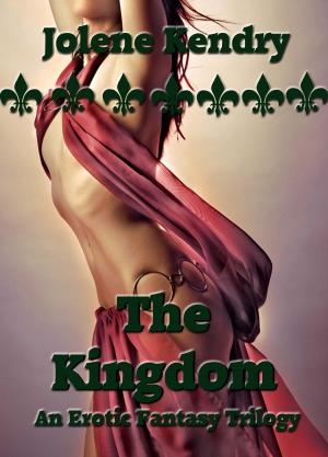 Cover of the book The Kingdom by samson wong