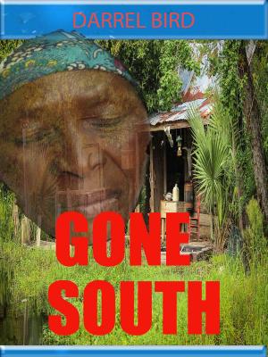 bigCover of the book Gone South by 