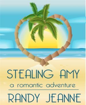 Cover of the book Stealing Amy by Vincent Diamond