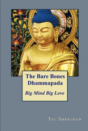Cover of the book The Bare Bones Dhammapada: Big Mind Big Love by Tai Sheridan, Ph.D.