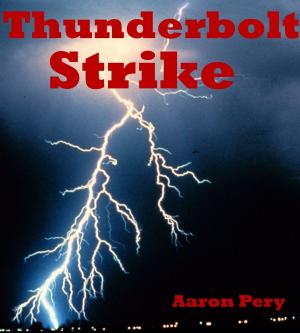 Cover of Thunderbolt Strike