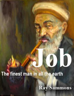bigCover of the book Job: The Finest Man in all the Earth by 