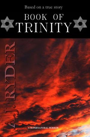 Book cover of Book Of Trinity