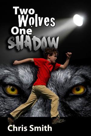 Book cover of Two Wolves, One Shadow