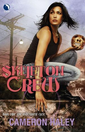 Cover of the book Skeleton Crew by Anne Kelleher