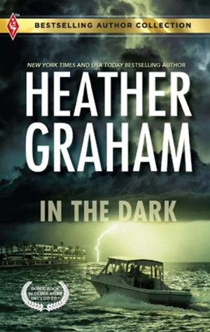 Cover of the book In the Dark by Valerie Parv