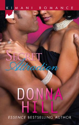 bigCover of the book Secret Attraction by 
