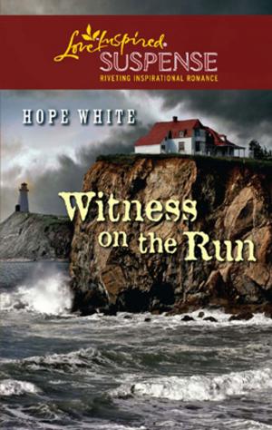 Cover of the book Witness on the Run by Lynne Marshall