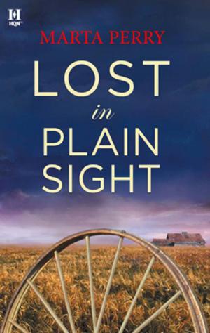 Book cover of Lost in Plain Sight
