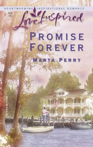 Cover of the book Promise Forever by Jodi Thomas