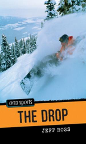 bigCover of the book The Drop by 