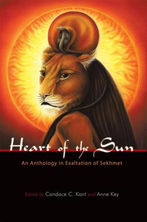 Cover of the book Heart of the Sun by Daurius Figueira