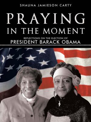 Cover of the book Praying in the Moment by Brad Newby