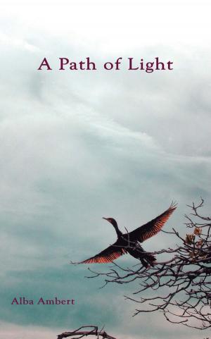 Cover of the book A Path of Light by Brendan J. A. O’Leary
