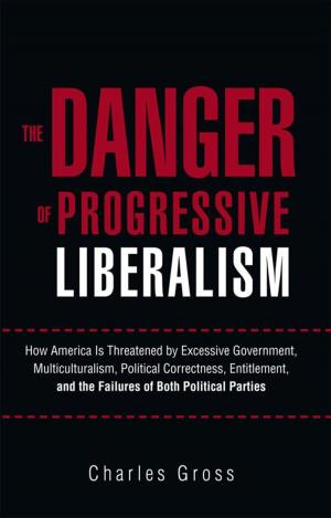 Cover of the book The Danger of Progressive Liberalism by B. Voncannon