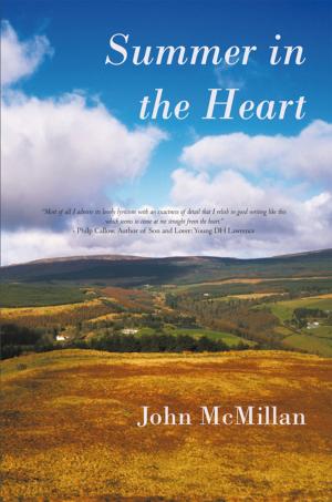 Cover of the book Summer in the Heart by Vincent J. Interlande