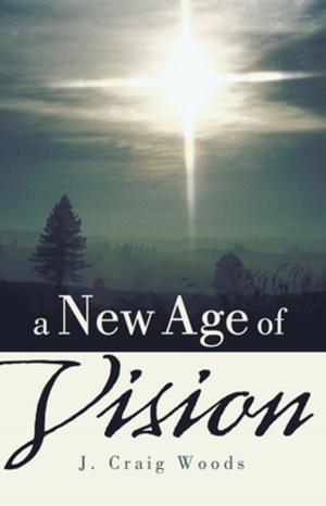 Cover of the book A New Age of Vision by Sister Nivedita
