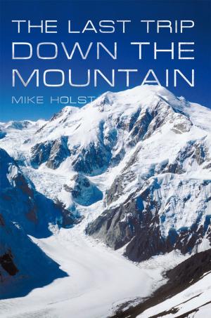Cover of the book The Last Trip Down the Mountain by J.C. Quinn