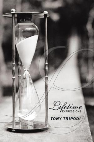 Cover of the book Lifetime Expressions by 