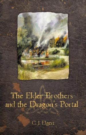 Book cover of The Elder Brothers and the Dragon’S Portal