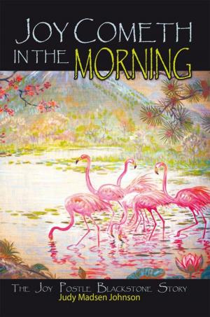 bigCover of the book Joy Cometh in the Morning by 