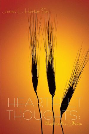 Cover of the book Heartfelt Thoughts: Chapters Six & Seven by Vincent DiMarco