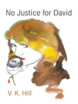 Cover of the book No Justice for David by Derek Hart