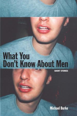 Cover of the book What You Don't Know About Men by Marcus D’Ambrose