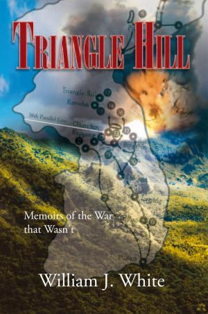 Cover of the book Triangle Hill by Miranda Taylor