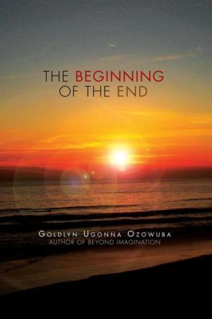 Cover of the book The Beginning of the End by Jamie Martin