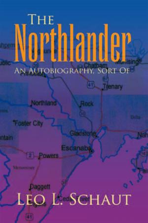 Cover of the book The Northlander by Festus Ogunbitan