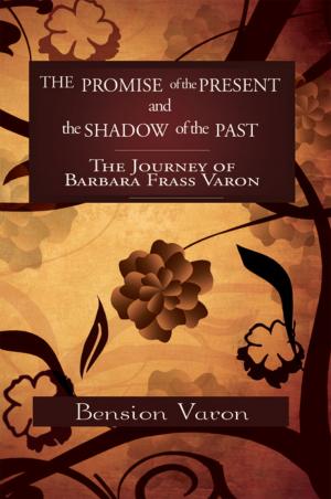 Cover of the book The Promise of the Present and the Shadow of the Past by The Nine