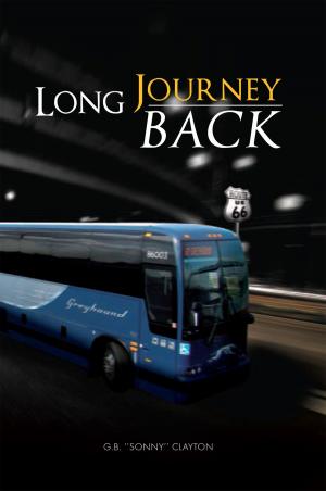Cover of the book Long Journey Back by Robert J. Evans
