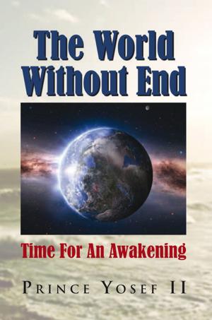 bigCover of the book The World Without End by 