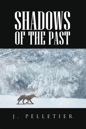 Cover of the book Shadows of the Past by Patrick E. Thomas