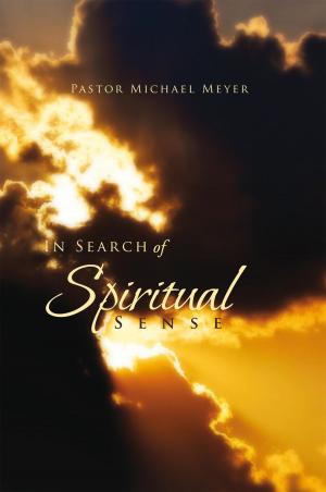 Book cover of In Search of Spiritual Sense