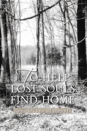 Cover of the book To Help Lost Souls Find Home by Paula Carrasquillo