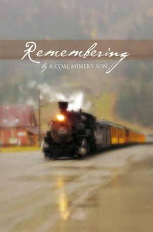 Cover of the book Remembering by Sheri L. Vigil