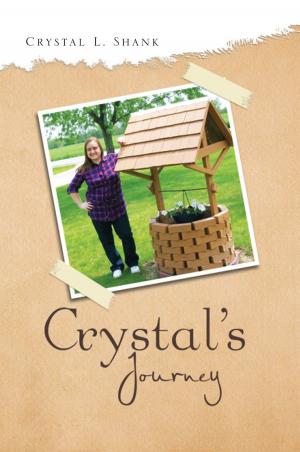 Cover of the book Crystal's Journey by Jon Bever