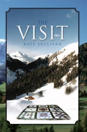 Cover of the book The Visit by Paul Vivian