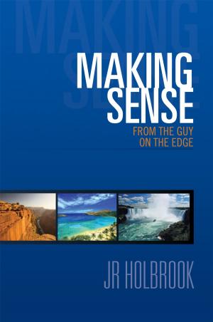 Cover of the book Making Sense from the Guy on the Edge by Leon A. Walker