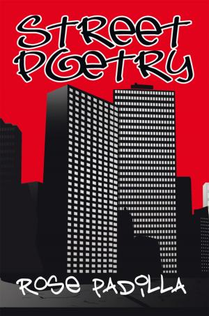 Cover of the book Street Poetry by Bob Danmyer